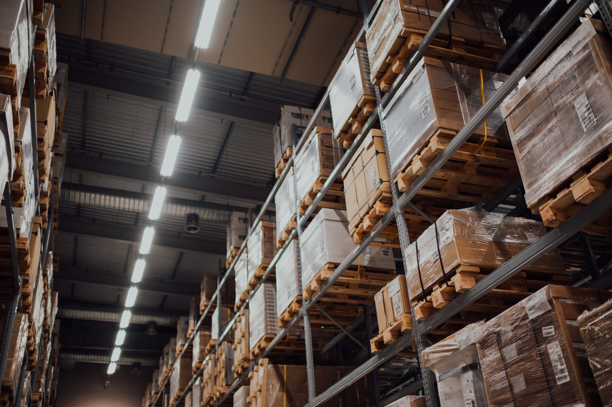 Winning Apparel Strategies for Sports Teams: Production to Distribution